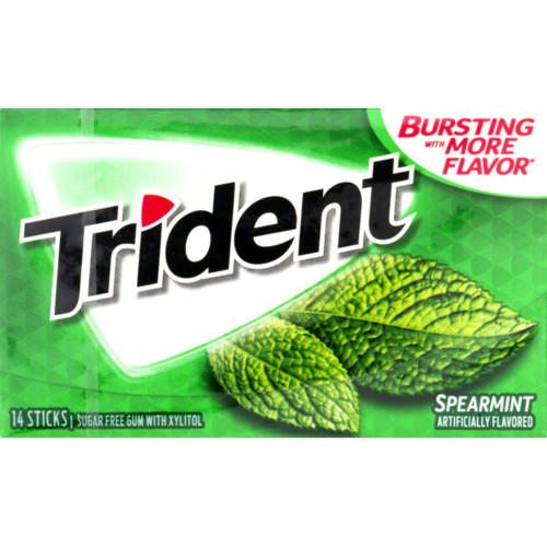 detail Trident Spearmint 26,6 g