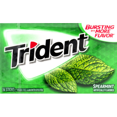 Trident Spearmint 26,6 g