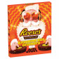 náhled Reese´s Advent Calendar Anything but Ordinary 242 g