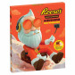 náhled Reese´s Advent Calendar Anything But Ordinary 248 g
